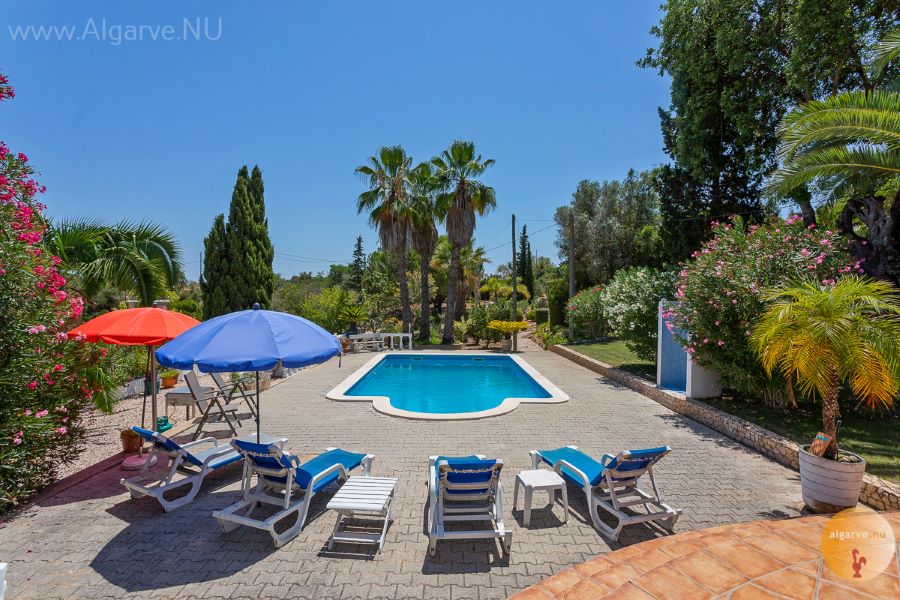 Privater Swimmingpool mit Außendusche, Sonnenschirmen, Liegestühlen und Terrasse zum Sonnenbaden. Strand 800m entfernt. Für Dich alleine.