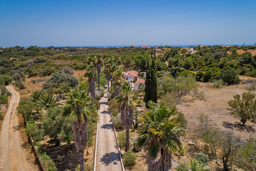 Auffahrt zur freistehenden Ferienvilla an der Algarve. Gesäumt von Palmen und abends beleuchtet.
